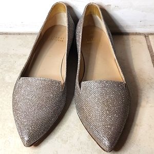Glitter and sparkle flat dress showes